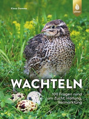 cover image of Wachteln